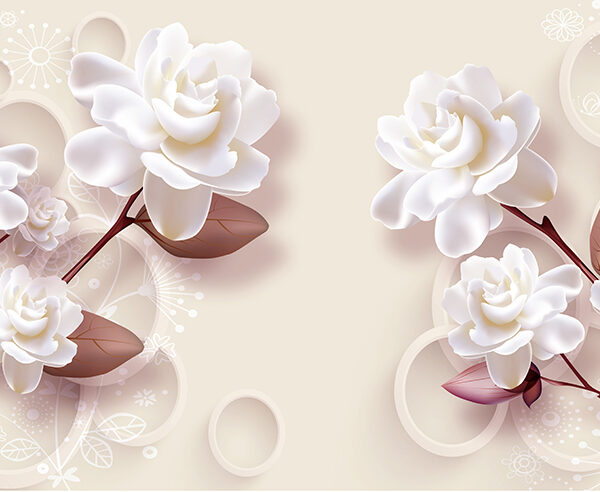 Белые розы на розовом фоне