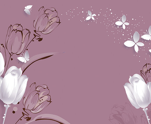 белые тюльпаны