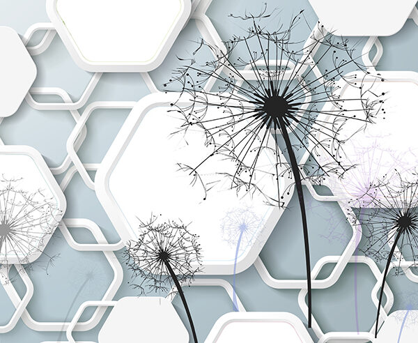 Ромбы и одуванчики