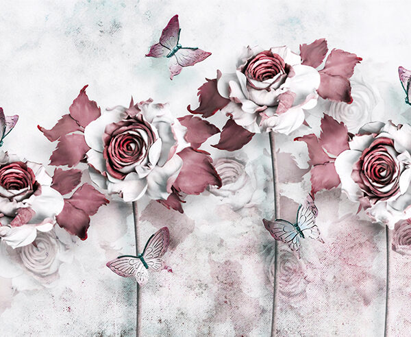 Бело-красные розы