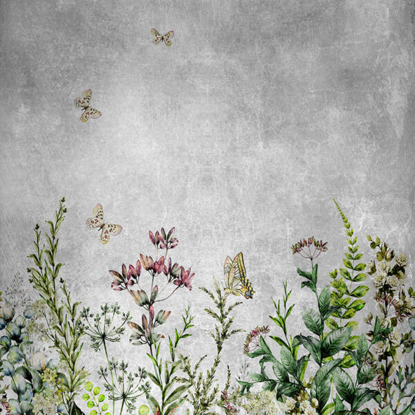 полевые цветы