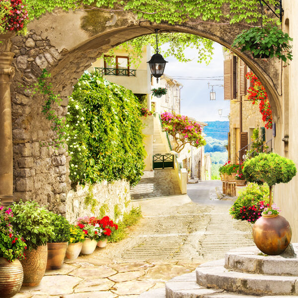 сад на улице