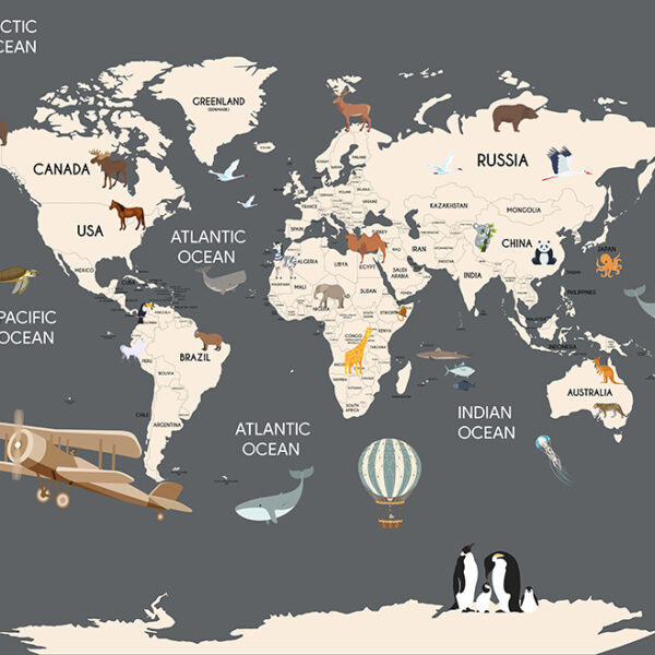 Серая карта мира