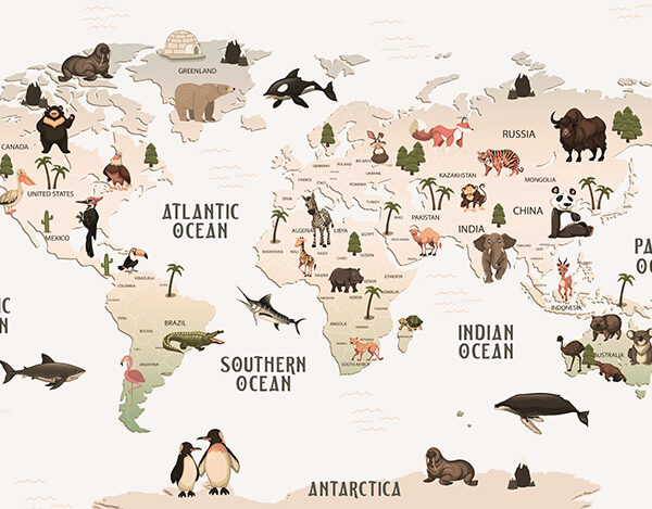 Карта объемная