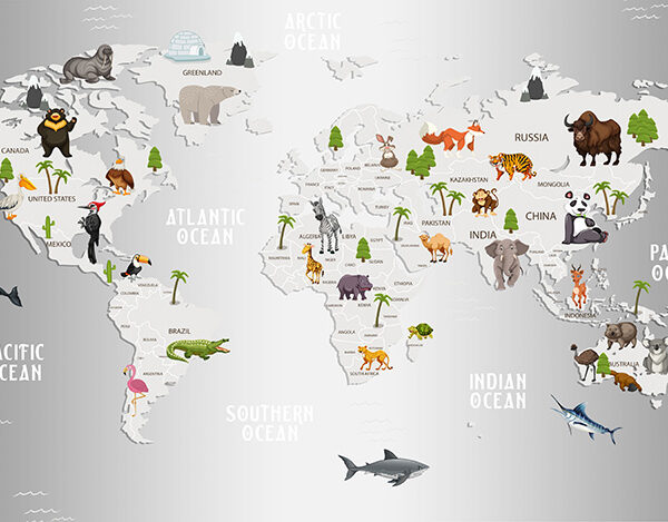 Серая карта детская