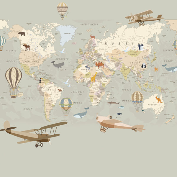 Серая карта со странами