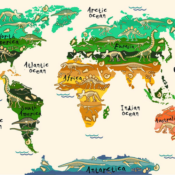 Карта со скелетами динозавтров