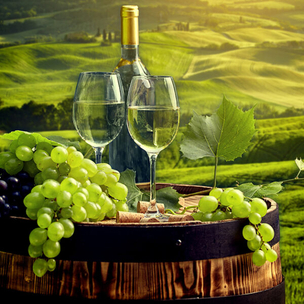 Вино на фоне поля