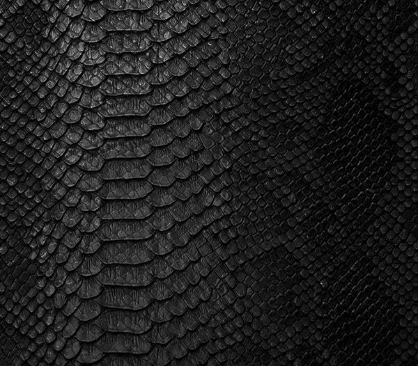 кожа под змею