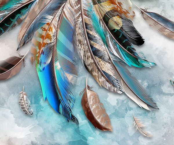 красивые перья