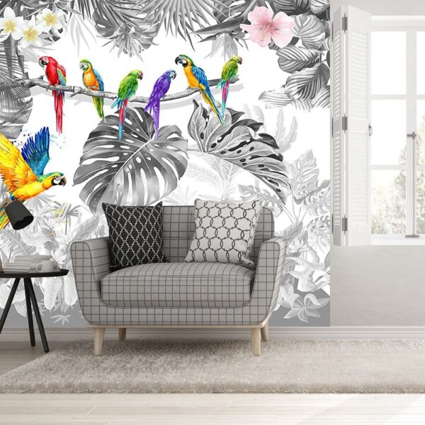 Цветные попугаи