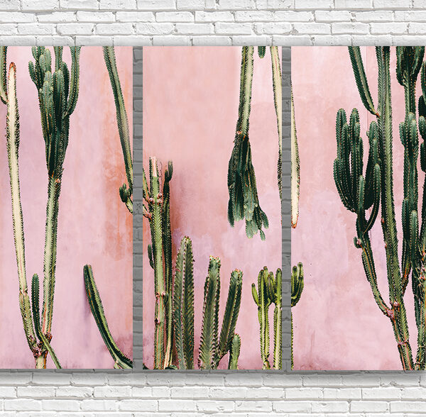 кактусы поп-арт