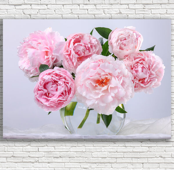 розовые розы