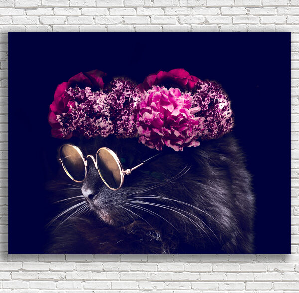 поп-арт кот а очках