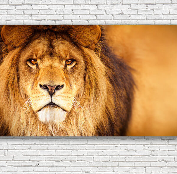 Картина Лев