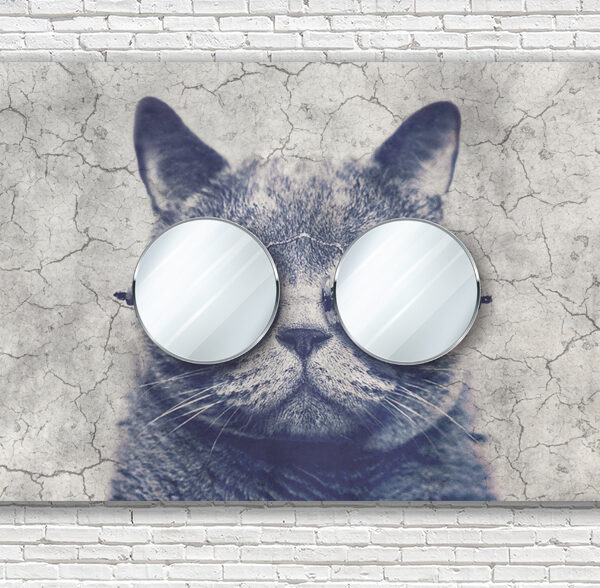 кот в очках