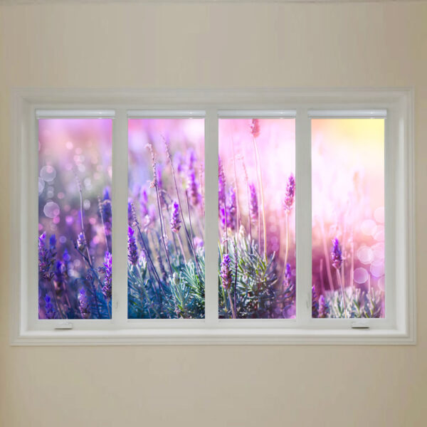 фоторолеты лаванда