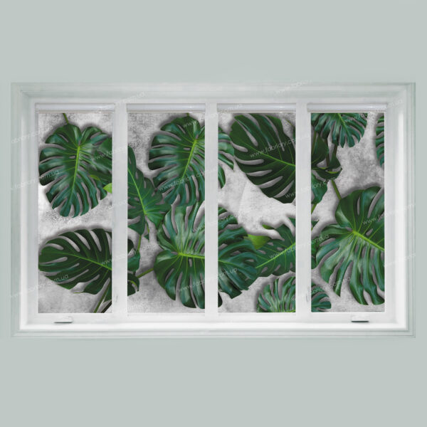 фоторолеты пальмовые листья