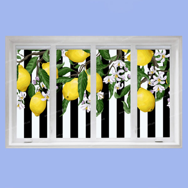 фоторолеты лимоны