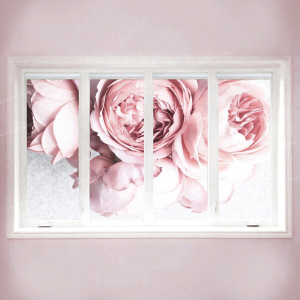 розовые розы