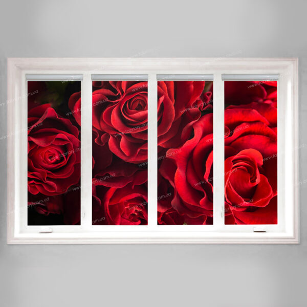 фоторолеты розы