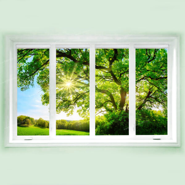 фоторолеты дерево